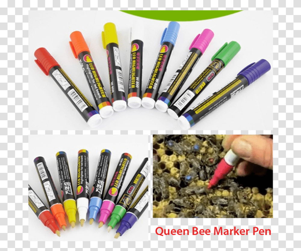 Honey Bee Beekeeping Marker Pens 8 Colors Art, Person, Human, Crayon, Paint Container Transparent Png