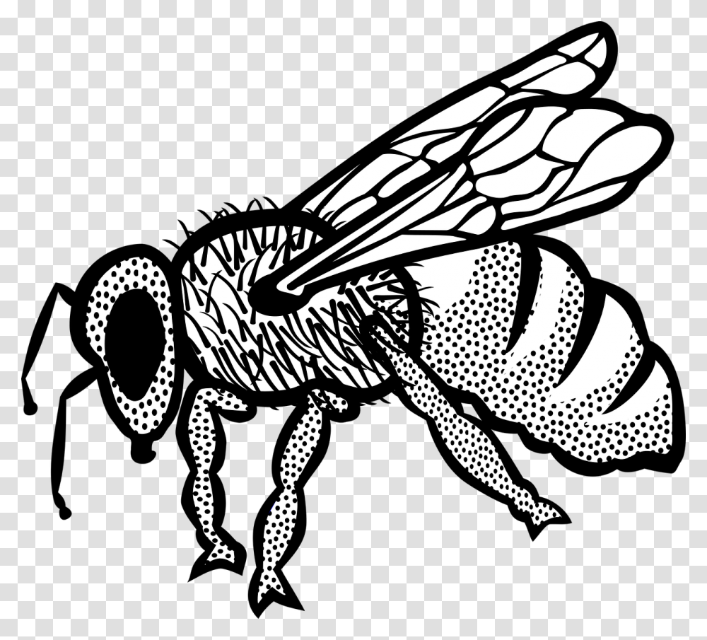 Honey Bee Clip Art Ar, Wasp, Insect, Invertebrate, Animal Transparent Png