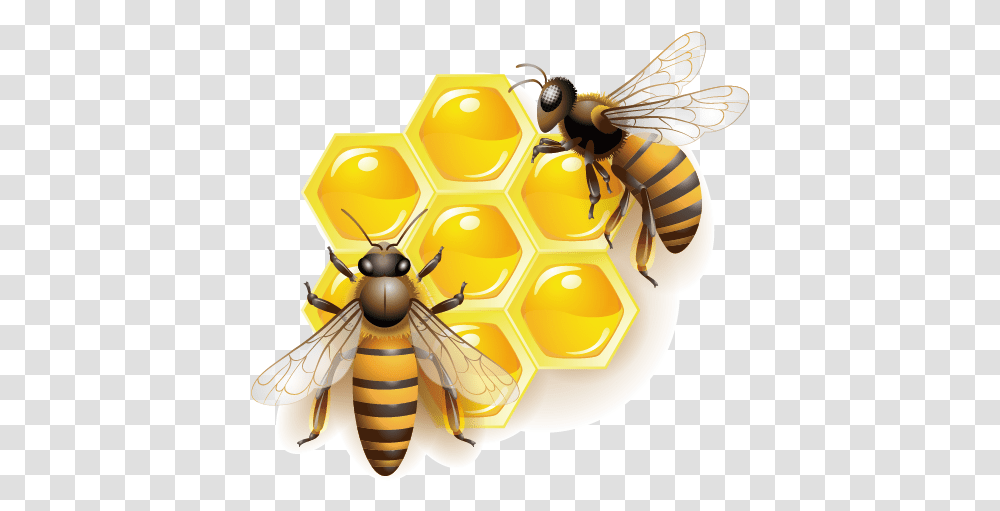 Honey Bee Clip Art Background Honey Bee Clipart, Wasp, Insect, Invertebrate, Animal Transparent Png