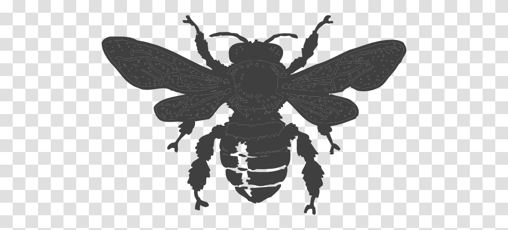 Honey Bee Clip Arts Download, Stencil, Wasp, Insect, Invertebrate Transparent Png