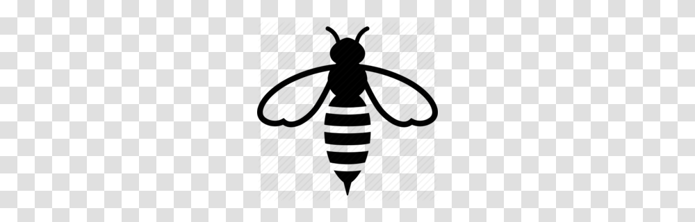 Honey Bee Clipart, Animal, Insect, Invertebrate, Wasp Transparent Png