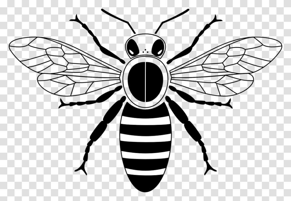 Honey Bee Clipart Black And White, Lamp, Wasp, Insect, Invertebrate Transparent Png