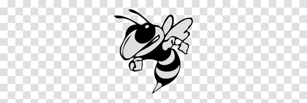 Honey Bee Clipart, Wasp, Insect, Invertebrate, Animal Transparent Png