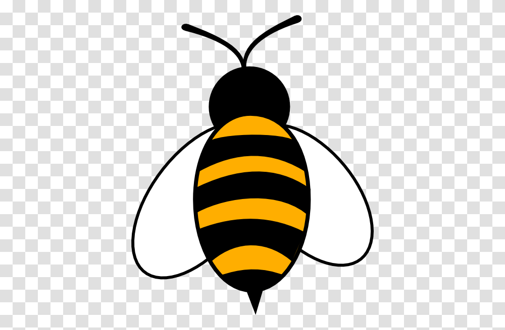 Honey Bee Colouring Pages, Invertebrate, Animal, Insect, Apidae Transparent Png