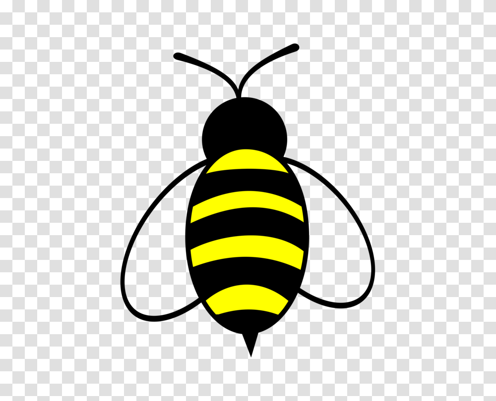 Honey Bee Drawing Insect Bombus Polaris, Logo, Trademark, Stage Transparent Png