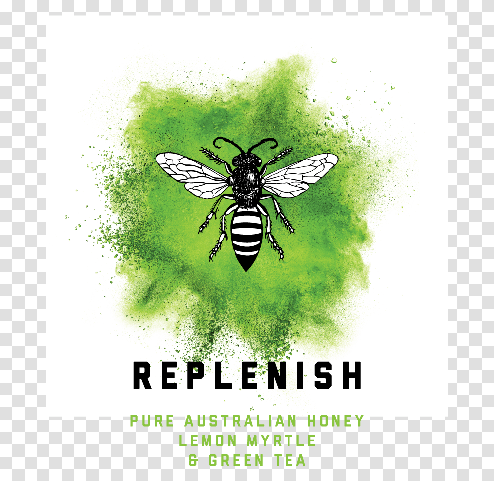Honey Bee Green Color Blast, Wasp, Insect, Invertebrate, Animal Transparent Png