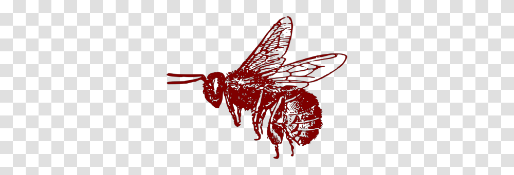 Honey Bee Icons Bee Clip Art, Wasp, Insect, Invertebrate, Animal Transparent Png