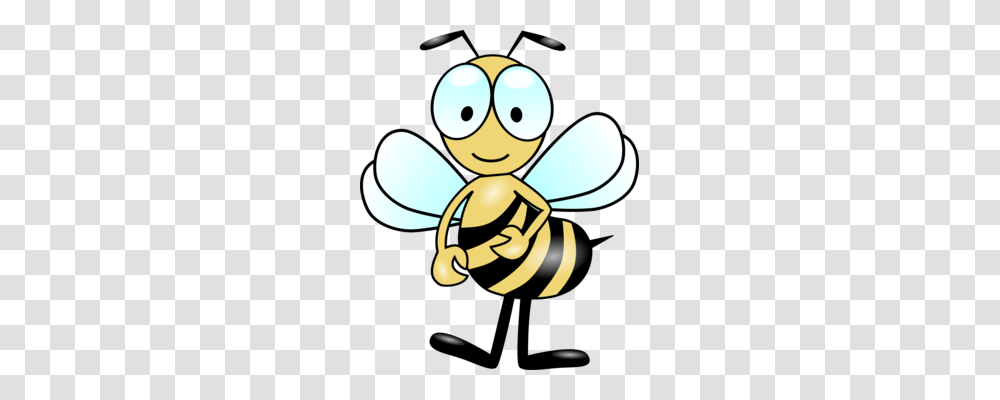 Honey Bee Insect Bumblebee Fly, Invertebrate, Animal Transparent Png