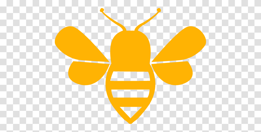 Honey Bee, Insect, Invertebrate, Animal, Label Transparent Png