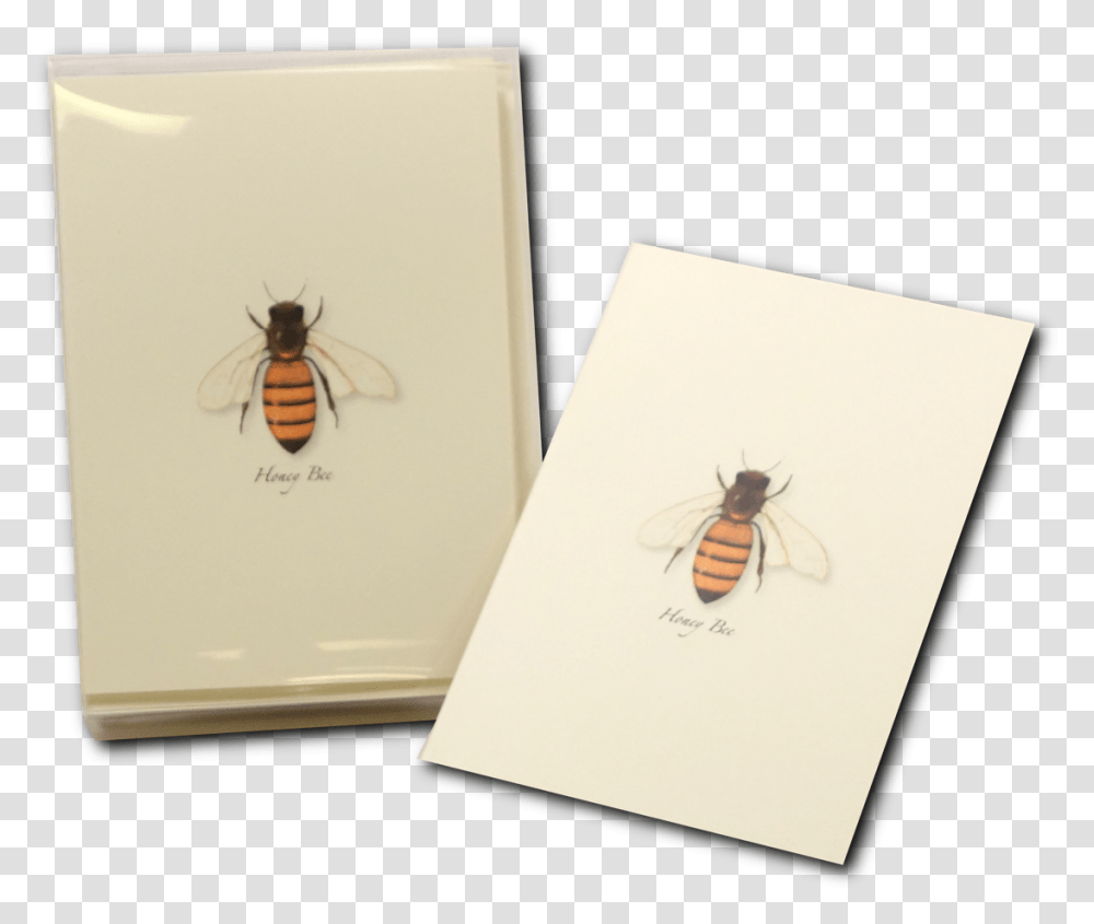 Honey Bee Notecard Honeybee Greeting Card Honeybee, Invertebrate, Animal, Insect, Apidae Transparent Png