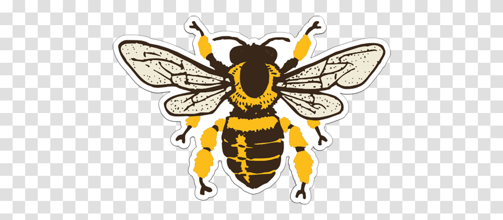 Honey Bee Patch Clip Art Vintage Bee, Insect, Invertebrate, Animal, Bird Transparent Png