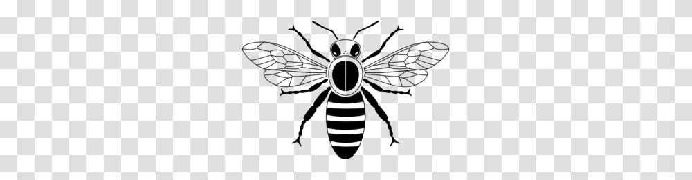 Honey Bee Pictogram Clip Art, Cutlery, Bowl, Fork Transparent Png