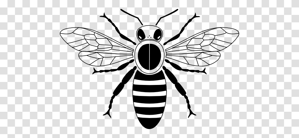 Honey Bee Pictogram Clip Art, Wasp, Insect, Invertebrate, Animal Transparent Png