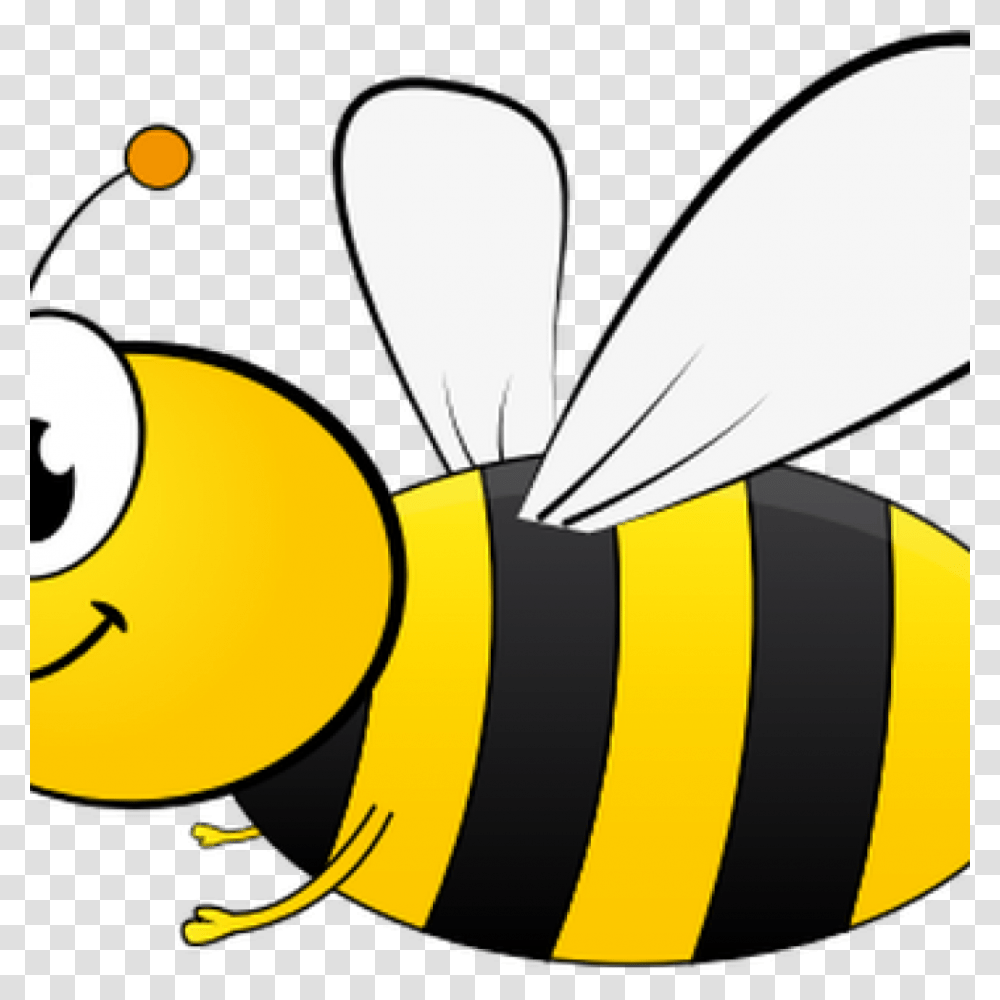 Honey Bee Pictures Clip Art Free Clipart Download, Insect, Invertebrate, Animal Transparent Png