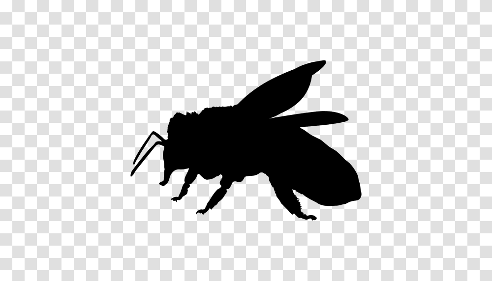 Honey Bee Silhouette, Wasp, Insect, Invertebrate, Animal Transparent Png