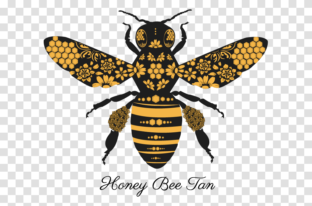 Honey Bee Tan Logo, Wasp, Insect, Invertebrate, Animal Transparent Png
