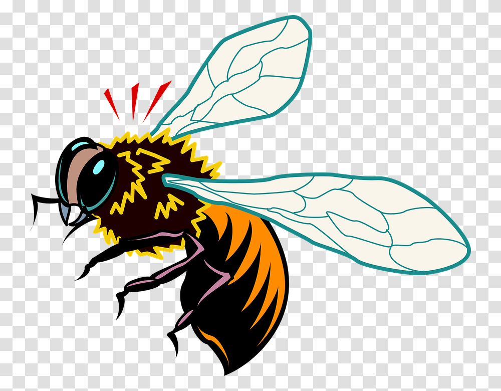 Honey Bee Vector, Wasp, Insect, Invertebrate, Animal Transparent Png