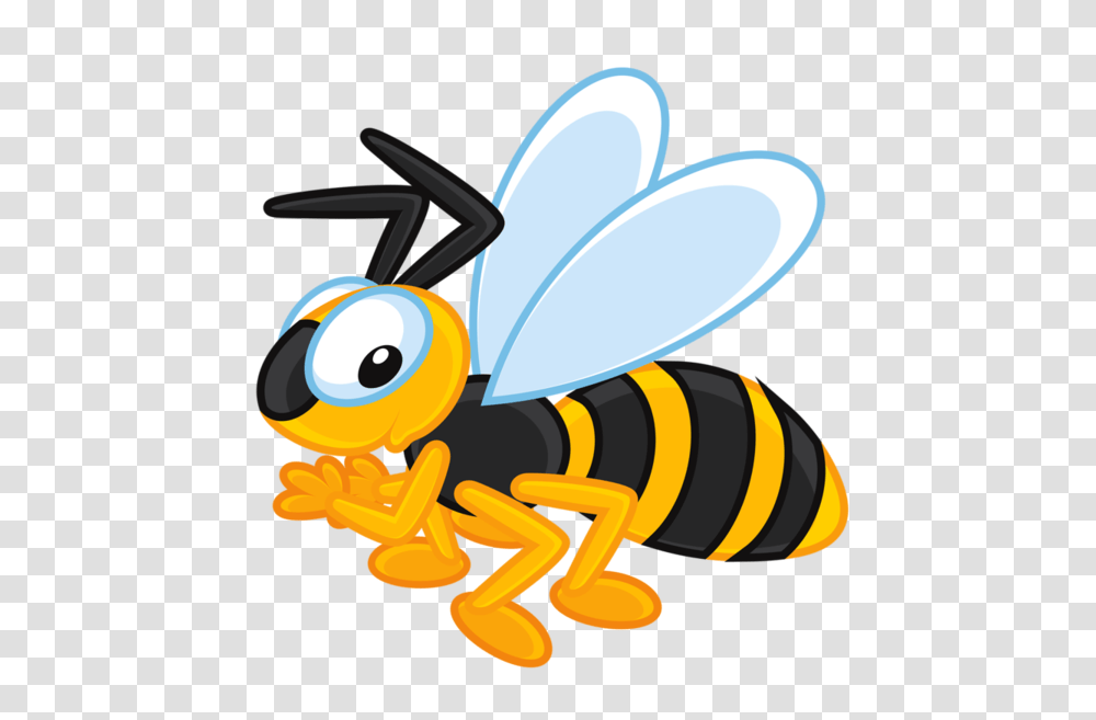 Honey Bees, Wasp, Insect, Invertebrate, Animal Transparent Png