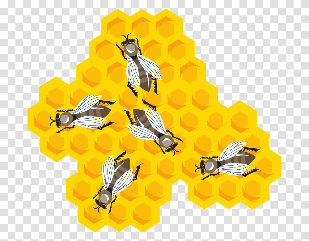 Honey Cartoon Hive Wax Bees Combs Bee Comb Beeswax Clipart, Bird, Animal, Honeycomb, Food Transparent Png