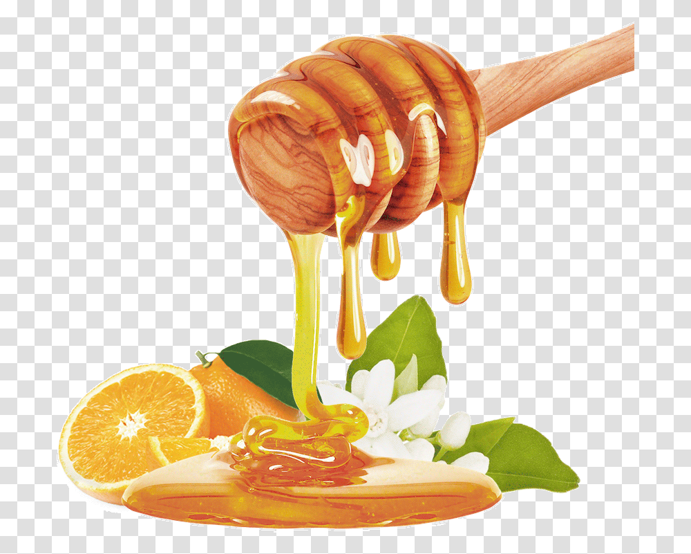Honey Dripping Down Free Apple And Honey, Food, Fungus, Animal, Orange Transparent Png