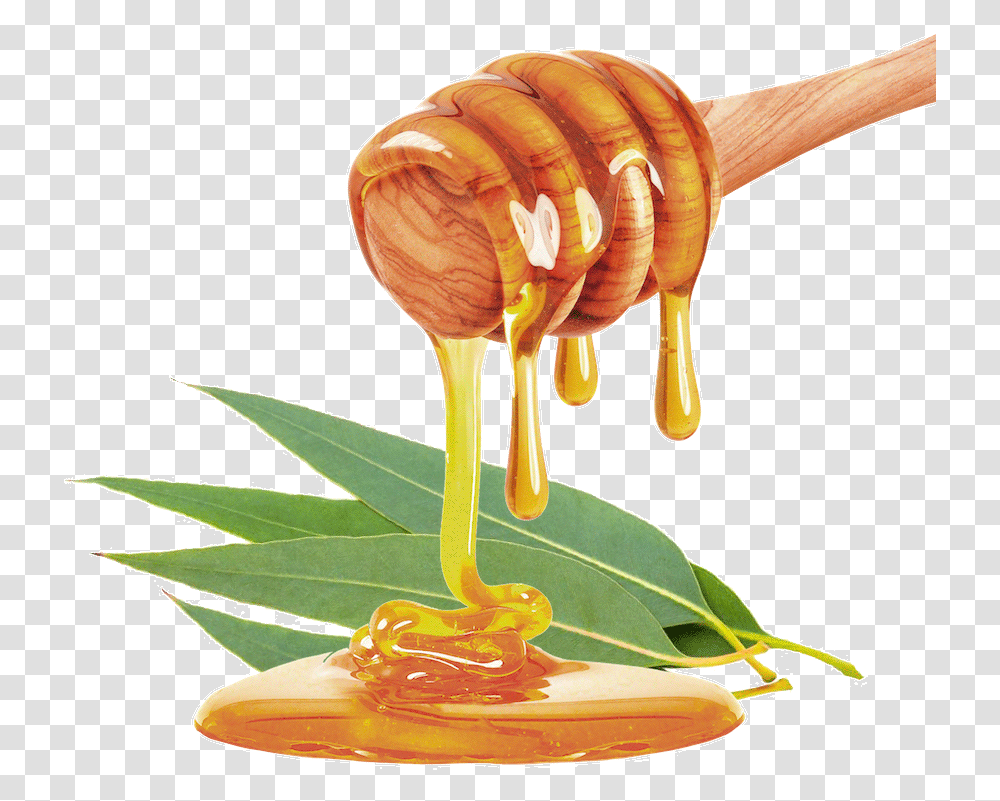 Honey, Food, Animal, Fungus, Insect Transparent Png