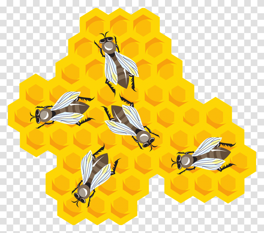 Honey, Food, Bird, Animal, Honeycomb Transparent Png