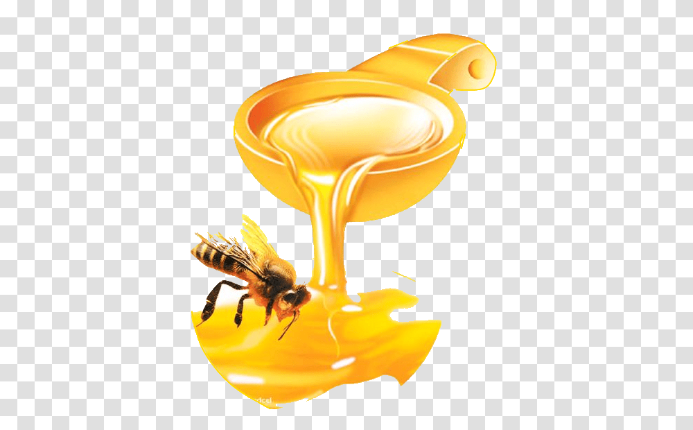 Honey, Food, Honey Bee, Insect, Invertebrate Transparent Png