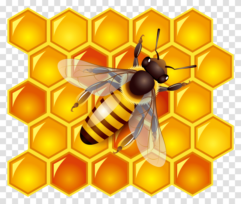 Honey, Food, Honeycomb, Animal, Bee Transparent Png