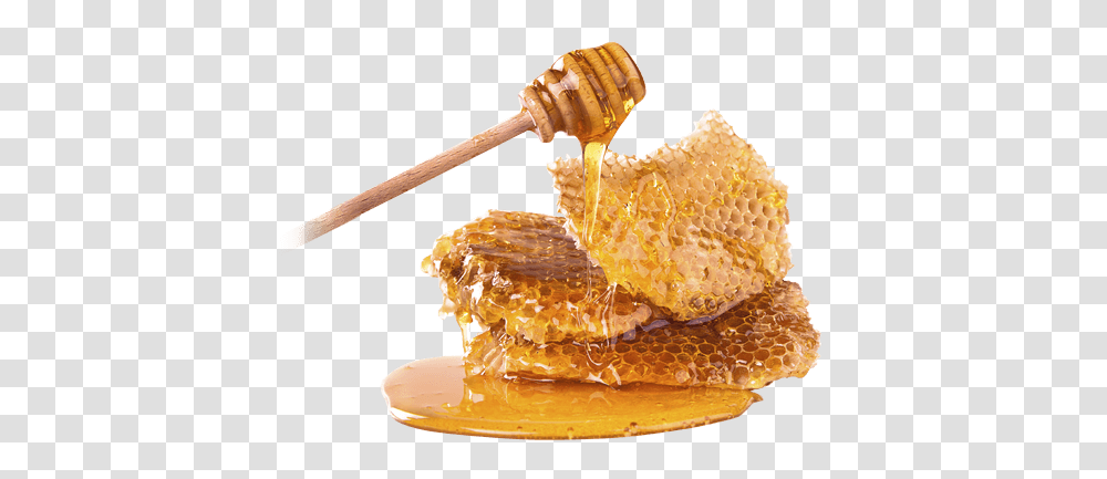 Honey, Food, Honeycomb, Burger, Bread Transparent Png