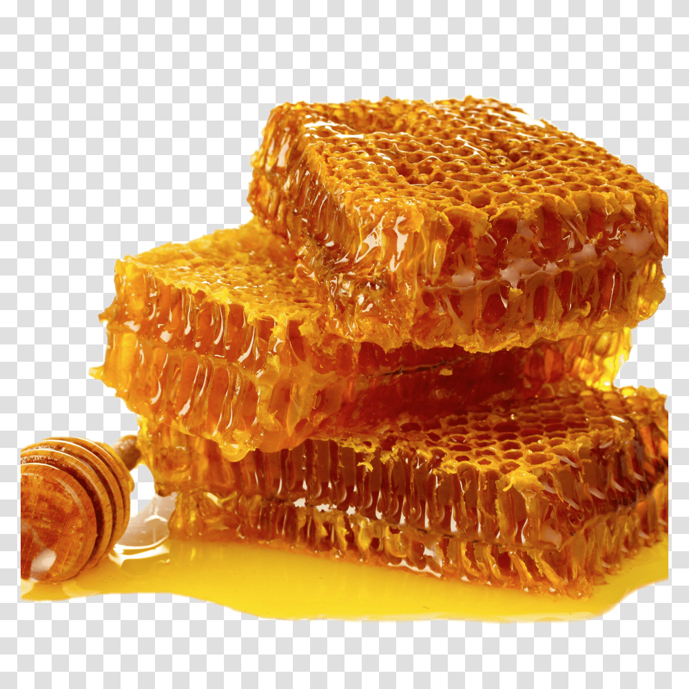 Honey, Food, Honeycomb, Fungus Transparent Png