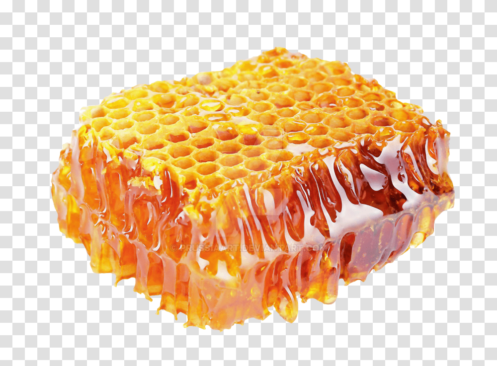 Honey, Food, Honeycomb, Fungus Transparent Png