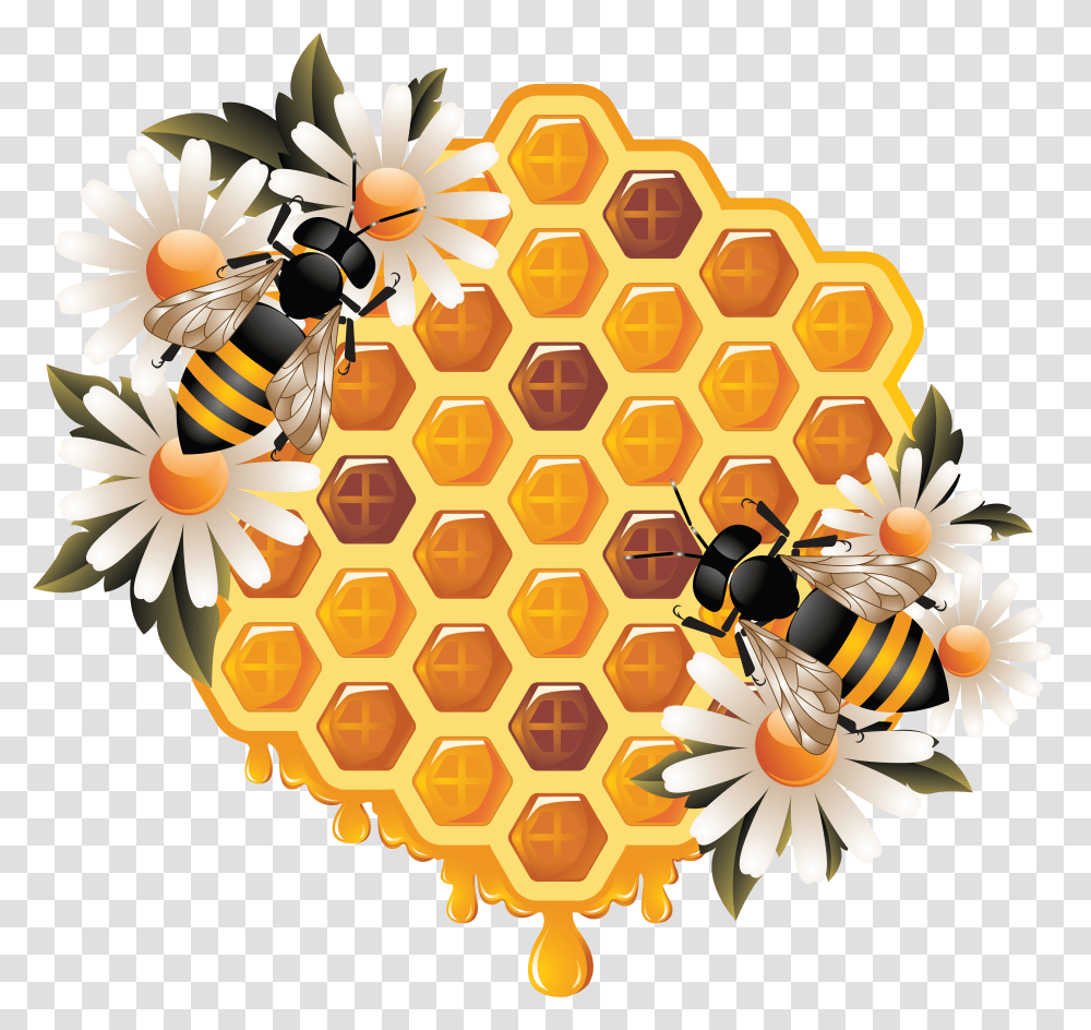 Honey, Food, Honeycomb, Meal, Bee Transparent Png