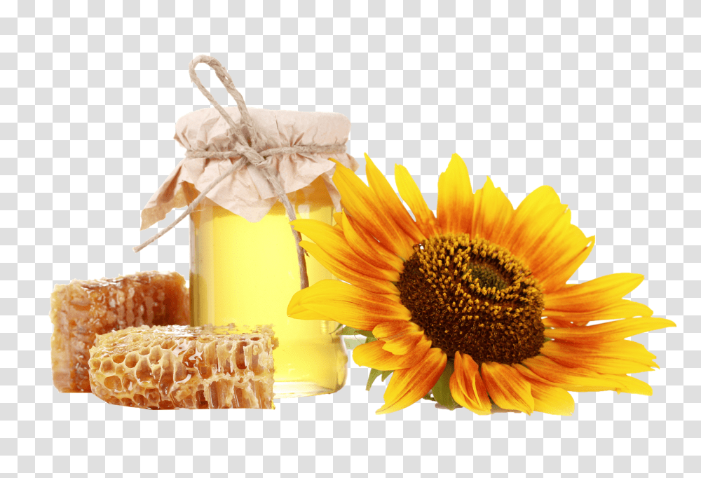 Honey, Food, Plant, Flower, Blossom Transparent Png