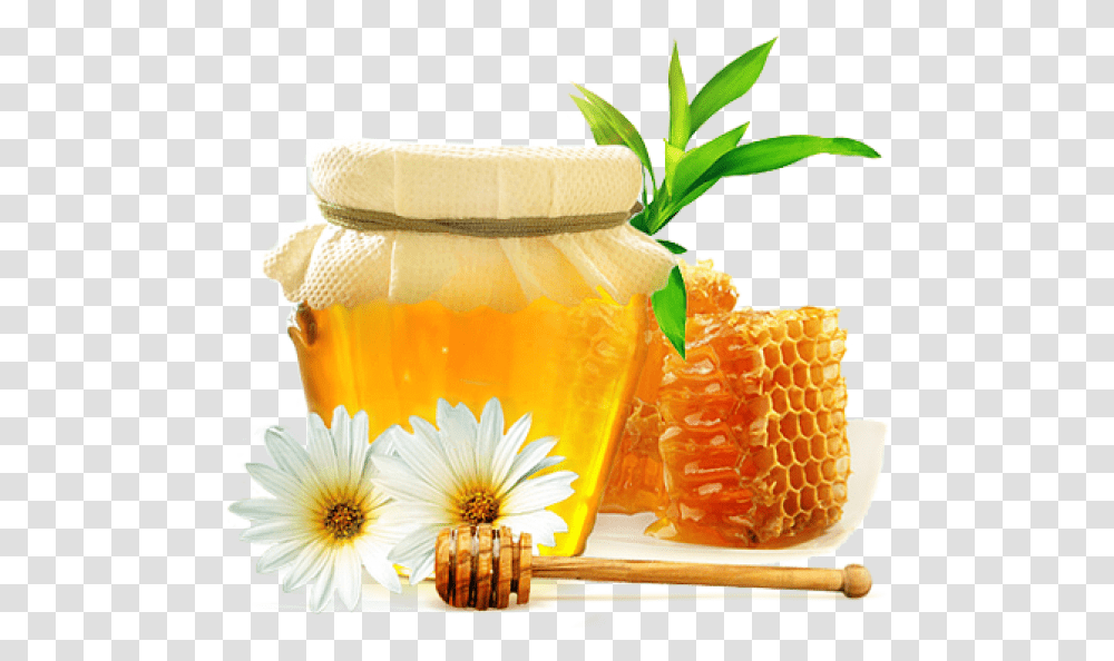 Honey Free Image Download Honey, Plant, Food, Beverage, Jar Transparent Png