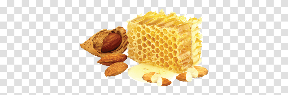 Honey Honey And Almond, Fungus, Food, Plant, Honeycomb Transparent Png