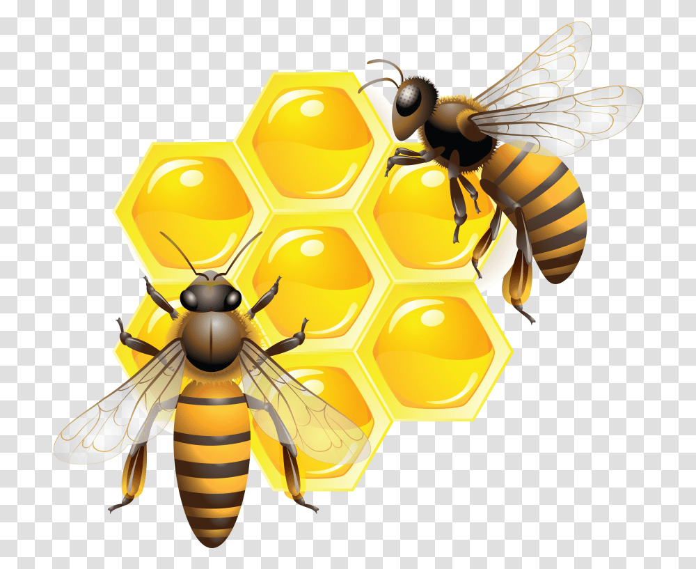 Honey, Honey Bee, Insect, Invertebrate, Animal Transparent Png
