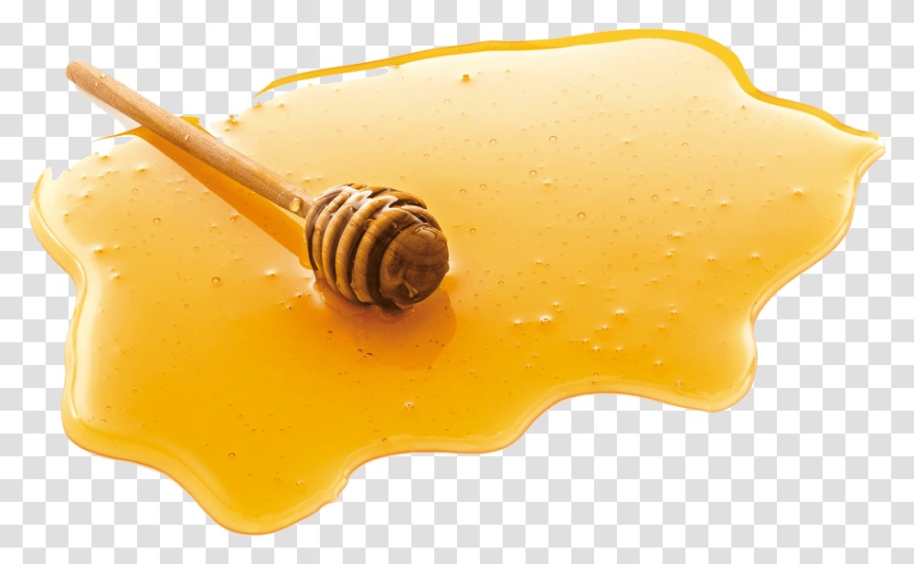 Honey Honey, Food, Plant, Ketchup, Animal Transparent Png