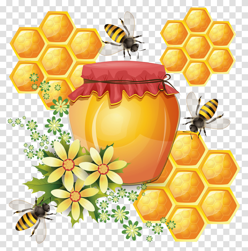 Honey Honeycomb Bee Transparent Png