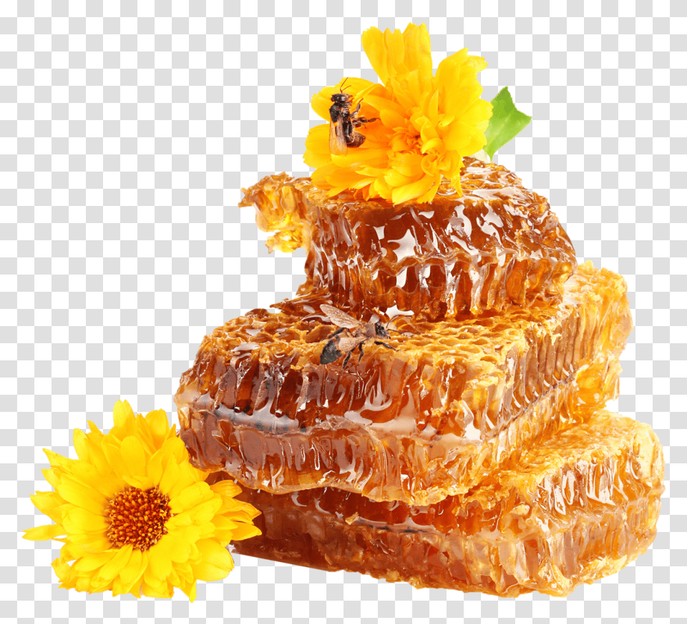 Honey Photo Background Background Honey, Plant, Wedding Cake, Dessert, Food Transparent Png