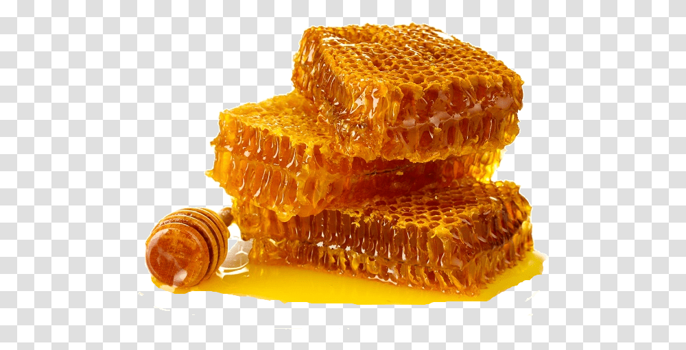 Honey Photos Buy Honeycomb In Malaysia, Food, Fungus Transparent Png