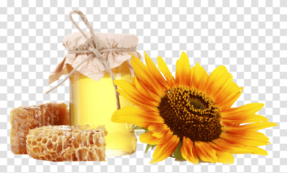 Honey Royalty Free Play Honey Sunflower, Plant, Blossom, Beverage, Drink Transparent Png