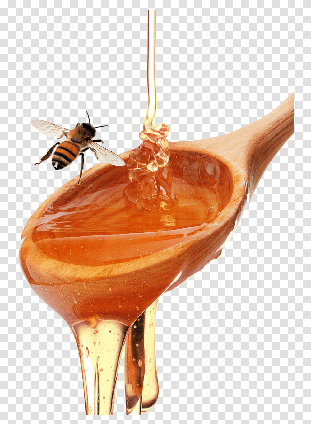 Honey Spoon Honeybee Honey Spoon, Honey Bee, Insect, Invertebrate, Animal Transparent Png