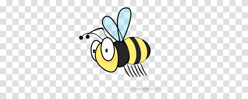 Honeybee Finance, Wasp, Insect, Invertebrate Transparent Png