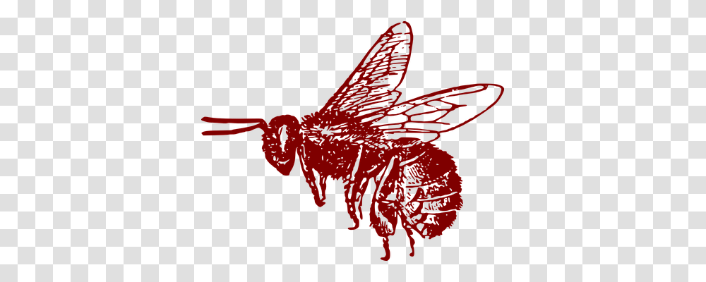 Honeybee Animals, Leaf, Plant, Hand Transparent Png