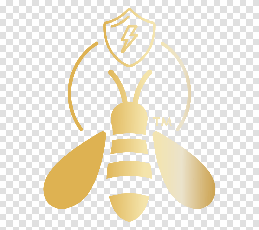 Honeybee, Animal, Invertebrate, Insect, Lamp Transparent Png
