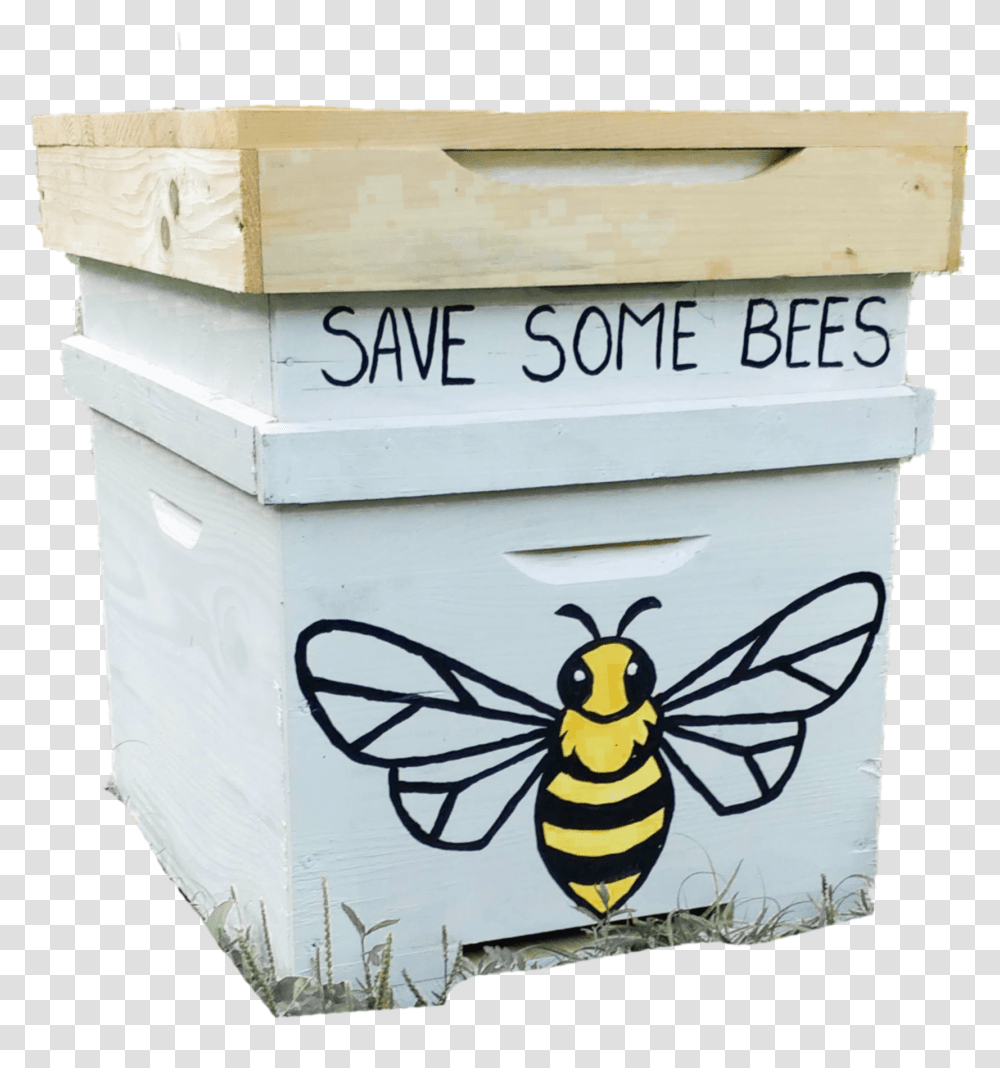 Honeybee, Bird, Animal, Box, Invertebrate Transparent Png