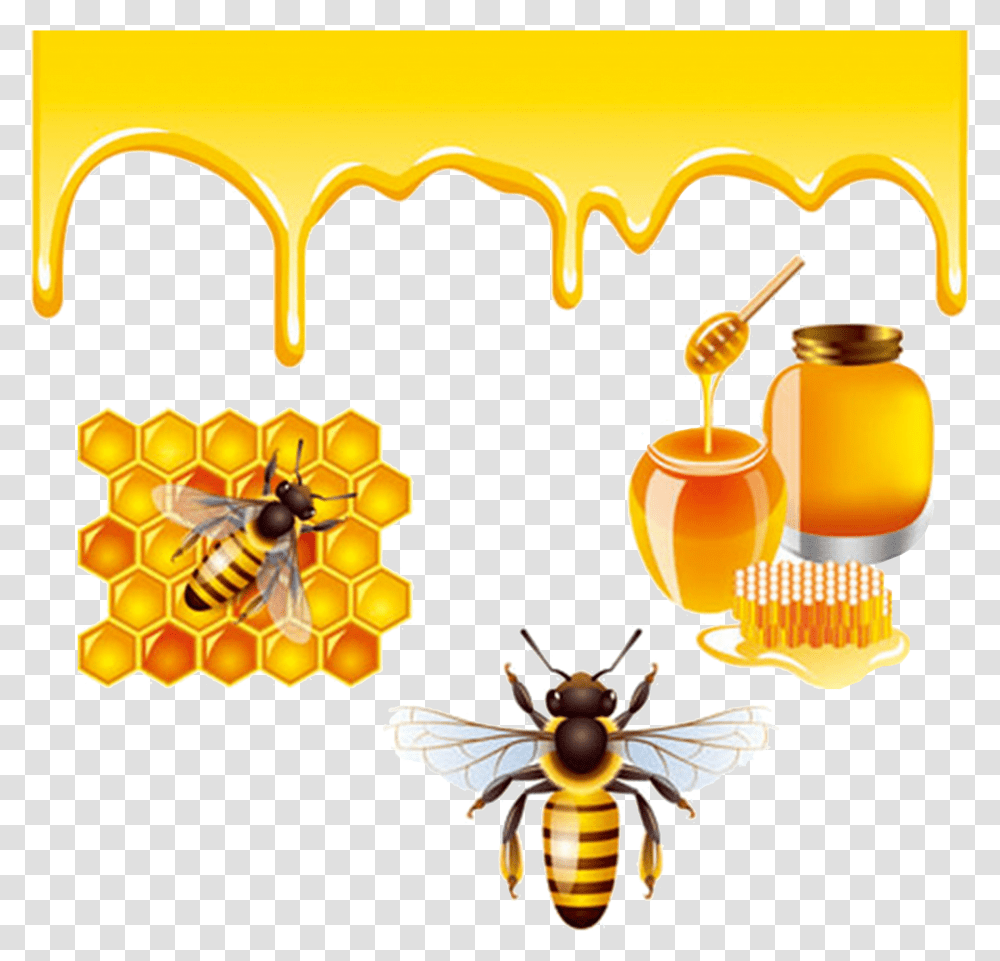 Honeybee Honey Bees Bee, Food, Honeycomb, Insect, Invertebrate Transparent Png