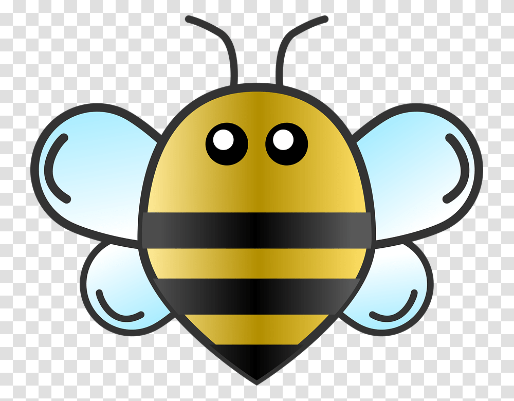 Honeybee, Wasp, Insect, Invertebrate, Animal Transparent Png