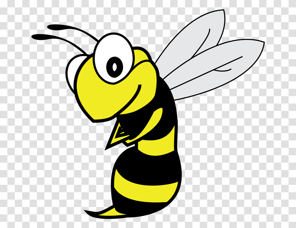 Honeybee, Wasp, Insect, Invertebrate, Animal Transparent Png