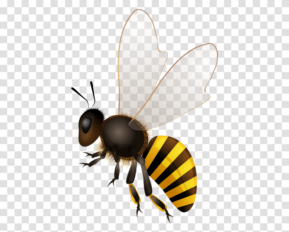 Honeycomb Bee Bee Illustration, Insect, Invertebrate, Animal, Honey Bee Transparent Png